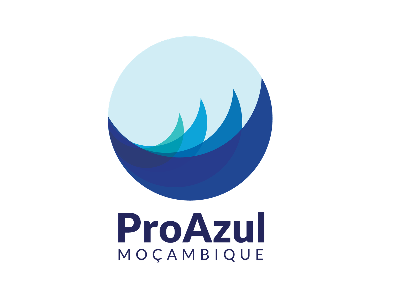 Vaga para Director de Divisão de Mobilização de Recursos 